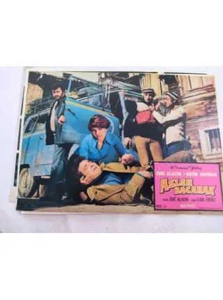 Lobi Renkli Büyük Boy / Aslan Bacanak (1977)