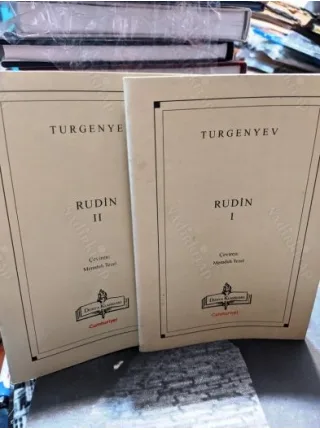 Rudin 1-2 (2 Kitap TAKIM) / Cumhuriyet / Dünya Klasikleri 114-115