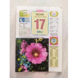 17 Ocak 2012 Vasif Ülkü Renkli Takvim yaprağı / Yavrunuza isim Kız Burcu Erkek Ufuk / Kuşe Kağıt / Doğum-Özel gün hediyesi