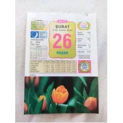 26 Şubat 2012 Vasif Ülkü Renkli Takvim yaprağı / Yavrunuza isim Kız Nuray Erkek Kaan / Kuşe Kağıt / Doğum-Özel gün hediyesi