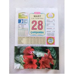 28 Mart 2012 Vasif Ülkü Renkli Takvim yaprağı / Yavrunuza isim Kız Birsen Erkek Yücel / Kuşe Kağıt / Doğum-Özel gün hediyesi
