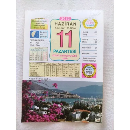 11 Haziran 2012 Vasif Ülkü Renkli Takvim yaprağı / Yavrunuza isim Kız Ayla Erkek Okan / Kuşe Kağıt / Doğum-Özel gün hediyesi