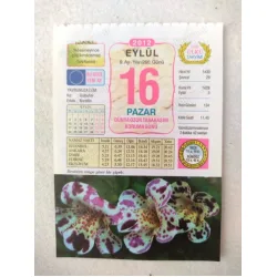 16 Eylül 2012 Vasif Ülkü Renkli Takvim yaprağı / Yavrunuza isim Kız Gülbahar Erkek Nurettin / Kuşe Kağıt / Doğum-Özel gün hediyesi
