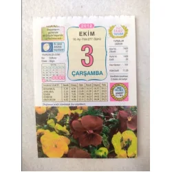 3 Ekim 2012 Vasif Ülkü Renkli Takvim yaprağı / Yavrunuza isim Kız Kutluay Erkek Bilgin / Kuşe Kağıt / Doğum-Özel gün hediyesi