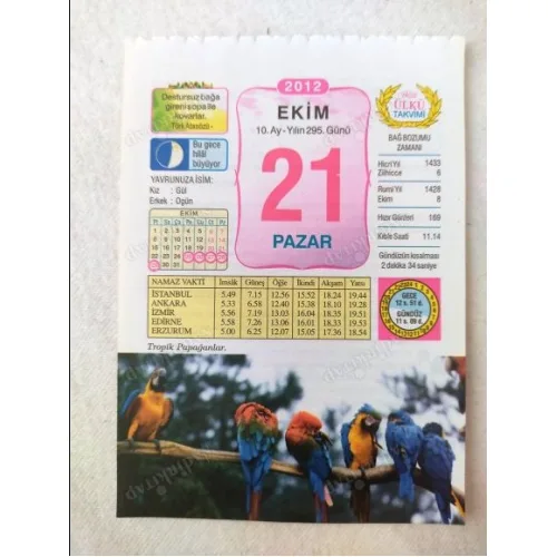 21 Ekim 2012 Vasif Ülkü Renkli Takvim yaprağı / Yavrunuza isim Kız Gül Erkek Ogün / Kuşe Kağıt / Doğum-Özel gün hediyesi