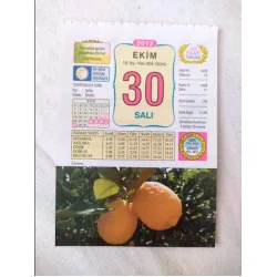 30 Ekim 2012 Vasif Ülkü Renkli Takvim yaprağı / Yavrunuza isim Kız Işılay Erkek Sözen / Kuşe Kağıt / Doğum-Özel gün hediyesi