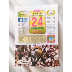 24 Kasım 2012 Vasif Ülkü Renkli Takvim yaprağı / Yavrunuza isim Kız Semra Erkek Fikri / Kuşe Kağıt / Doğum-Özel gün hediyesi