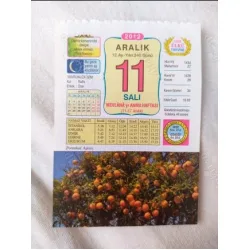 11 Aralık 2012 Vasif Ülkü Renkli Takvim yaprağı / Yavrunuza isim Kız Raife Erkek Özer / Kuşe Kağıt / Doğum-Özel gün hediyesi