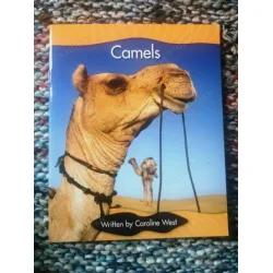 Camels
