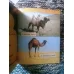 Camels