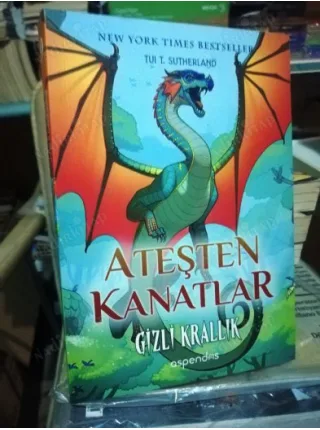 Gizli Krallık / Ateşten Kanatlar Cilt 3