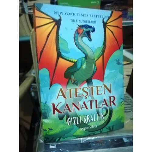 Gizli Krallık / Ateşten Kanatlar Cilt 3