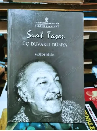 Suat Taşer Üç Duvarlı Dünyası
