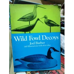 Wild Fowl Decoys (140 illustrations with 4 in color) Wild Fowl Decoys (140 illustrations with 4 in color)