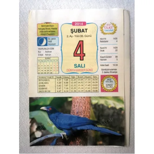 4 Şubat 2014 Ülkü Renkli Takvim yaprağı / Yavrunuza isim Kız Aslıhan Erkek Adnan / Kuşe Kağıt / Doğum-Özel gün hediyesi