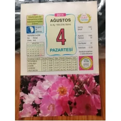 4 Ağustos 2014 Ülkü Renkli Takvim yaprağı / Yavrunuza isim Bengü Erkek Arel / Kuşe Kağıt / Doğum-Özel gün hediyesi