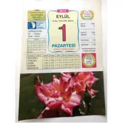 1 Eylül 2014 Ülkü Renkli Takvim yaprağı / Yavrunuza isim Kız Papatya Erkek Ertekin / Kuşe Kağıt / Doğum-Özel gün hediyesi