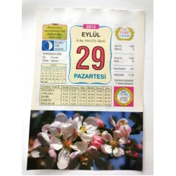 29 Eylül 2014 Ülkü Renkli Takvim yaprağı / Yavrunuza isim Kız Firuzan Erkek Hikmet / Kuşe Kağıt / Doğum-Özel gün hediyesi