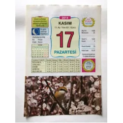 17 Kasım 2014 Ülkü Renkli Takvim yaprağı / Yavrunuza isim Kız Piraye Erkek Nazım / Kuşe Kağıt / Doğum-Özel gün hediyesi