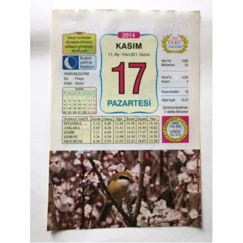 17 Kasım 2014 Ülkü Renkli Takvim yaprağı / Yavrunuza isim Kız Piraye Erkek Nazım / Kuşe Kağıt / Doğum-Özel gün hediyesi