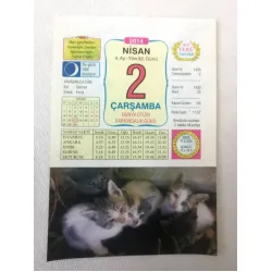 2 Nisan 2014 Ülkü Renkli Takvim yaprağı / Yavrunuza isim Kız Gülsen Erkek Fevzi / Kuşe Kağıt / Doğum-Özel gün hediyesi
