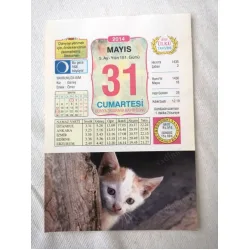 31 Mayıs 2014 Ülkü Renkli Takvim yaprağı / Yavrunuza isim Kız Güneş Erkek Ömer / Kuşe Kağıt / Doğum-Özel gün hediyesi