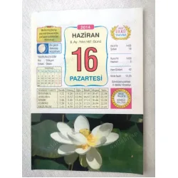 16 Haziran 2014 Ülkü Renkli Takvim yaprağı / Yavrunuza isim Kız Gökçen Erkek Ökten / Kuşe Kağıt / Doğum-Özel gün hediyesi