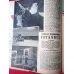 HAFTA 40/1956 Kapak Sophia Loren,Tam Sayfa Tamek Reklamı,İstanbul,Haziran ve Ekim İstanbul