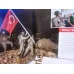 Anadolu Ajansı Yıllık 2015