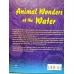 Animal Wonders of the Water