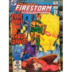DC Firestorm Vol 2 #14 Enforcer July, 1983 DC Firestorm Vol 2 #14 Enforcer July, 1983