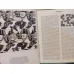 M. C. Escher Graphik und Zeichnungen (Açıklama)