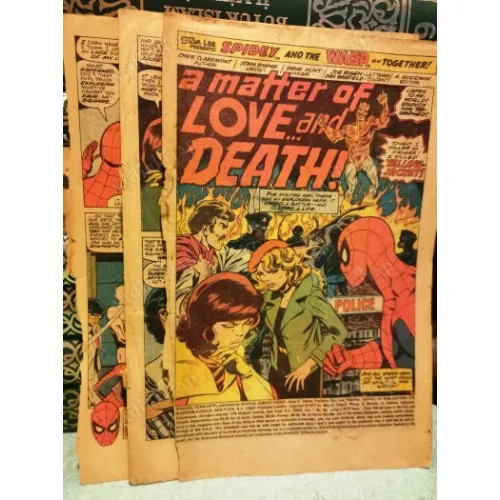 Marvel Marvel Team-Up Vol 1 # 60 August, 1977 A Matter of Love... and Death! (Açıklama)