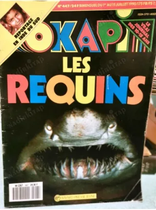 Okapi 447/1990 Voyage en INDE, Michael Vautrot, Samatha 7, L
