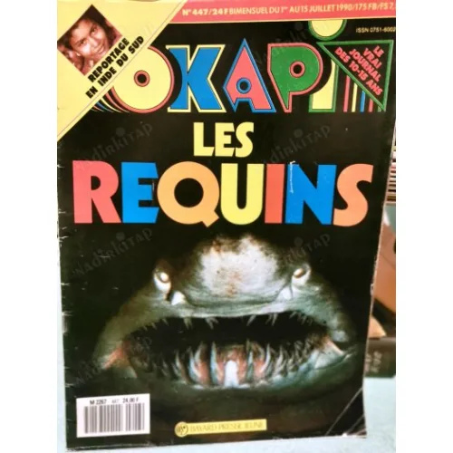 Okapi 447/1990 Voyage en INDE, Michael Vautrot, Samatha 7, L