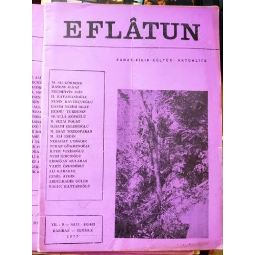 Eflatun 102-103 Tse, Yahya Kemal