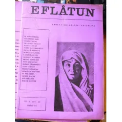 Eflatun 101 İrade, Kiralar ve Evler, Şiirin Önemi, Eflatun 101 İrade, Kiralar ve Evler, Şiirin Önemi,
