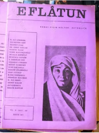 Eflatun 101 İrade, Kiralar ve Evler, Şiirin Önemi,