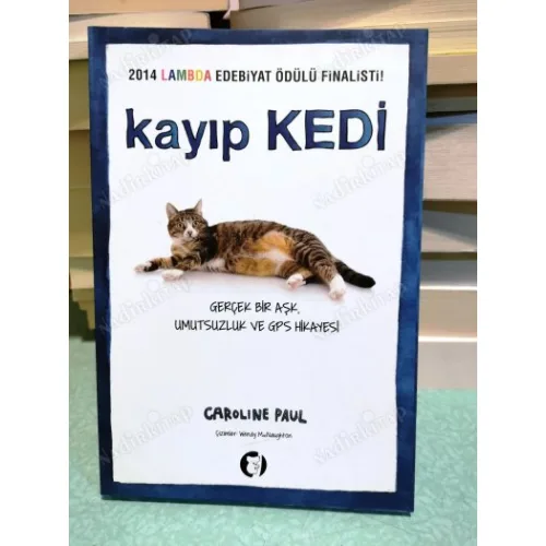 Kayıp Kedi