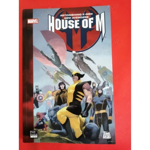 Marvel House Of M