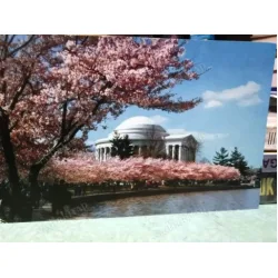 Jefferson Memorial (Amerika)