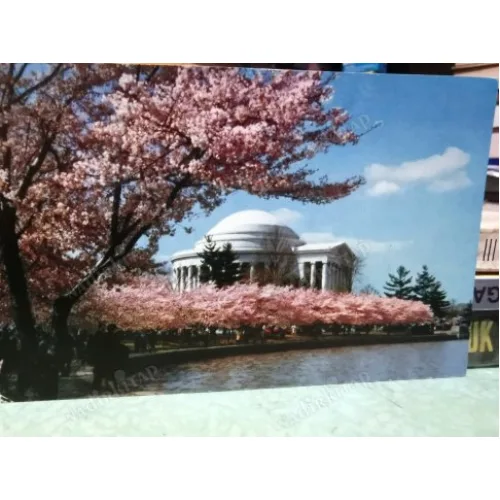 Jefferson Memorial (Amerika)