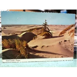Oregon Sand Dunes Postcard
