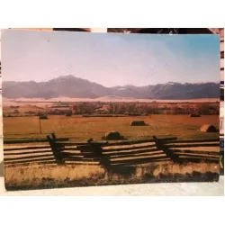 Oregon Strawberry Mountain Postcard
