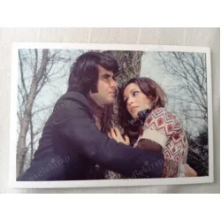 Kartpostal / Delisin Tarık Akan - Necla Nazır Renkli