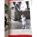 U.S. Camera International Pictures 1963
