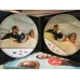 VCD Scener ur ett äktenskap Scenes from a Marriage Bir Evlilikten Manzaralar Liv Ullmann Erland Josephson Yön Ingmar Bergman 1973 3CD Kutulu