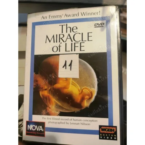 DVD the Miracle of Life An Emmy Award winner Nova Belgesel