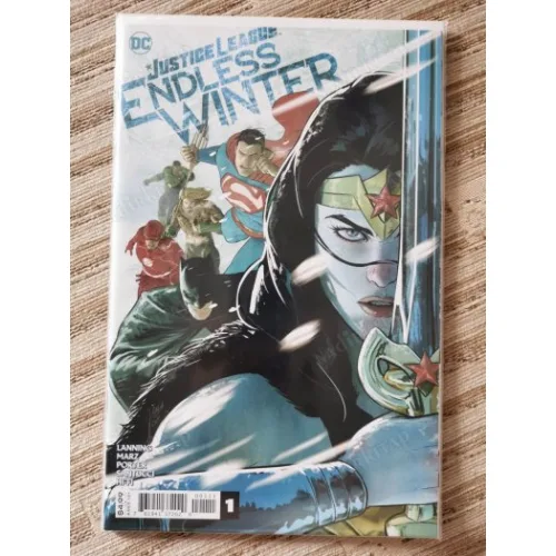 DC Justice League Endless Winter #1 #2 SET Comicare