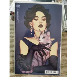 DC CatWoman Volume 5 #43 of Present (Cover B Jenny Frison Card Stock Variant, Comicare) DC CatWoman Volume 5 #43 of Present (Cover B Jenny Frison Card Stock Variant, Comicare)